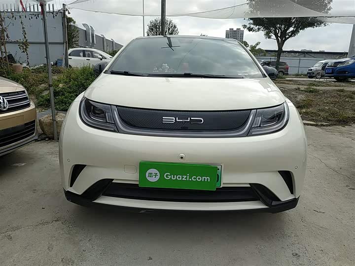 Фото 3 - BYD Dolphin