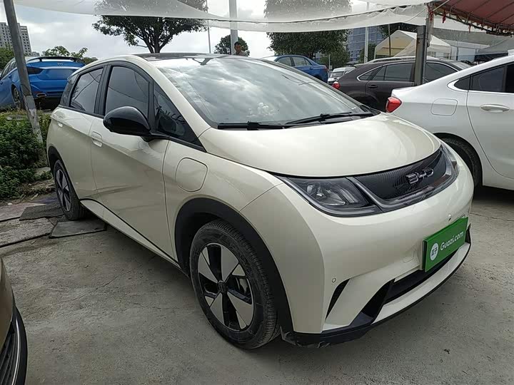 Фото 4 - BYD Dolphin