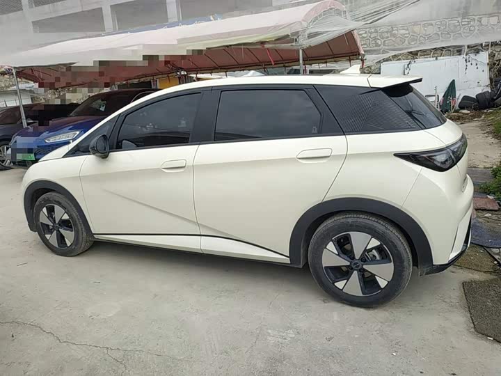 Фото 5 - BYD Dolphin