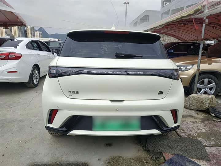 Фото 6 - BYD Dolphin