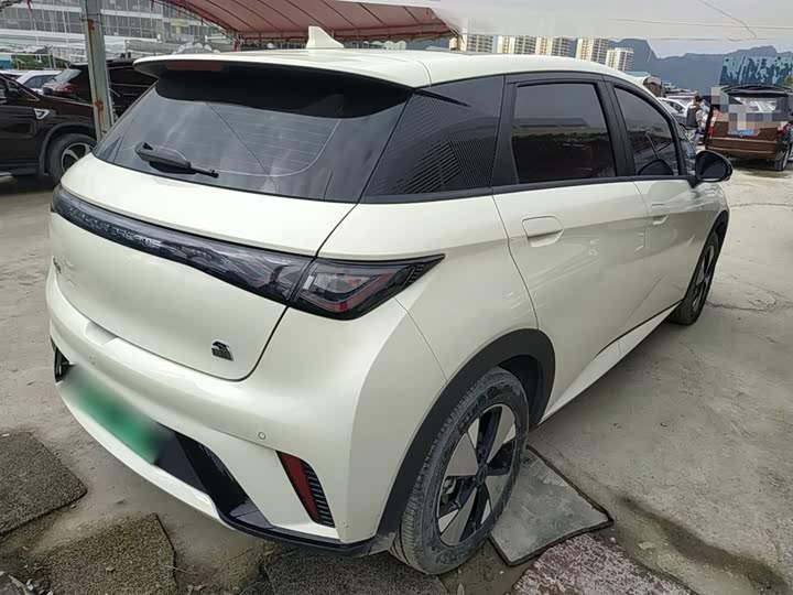 Фото 7 - BYD Dolphin