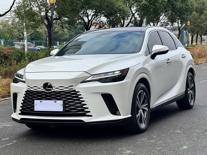 Фото 1 - Lexus RX