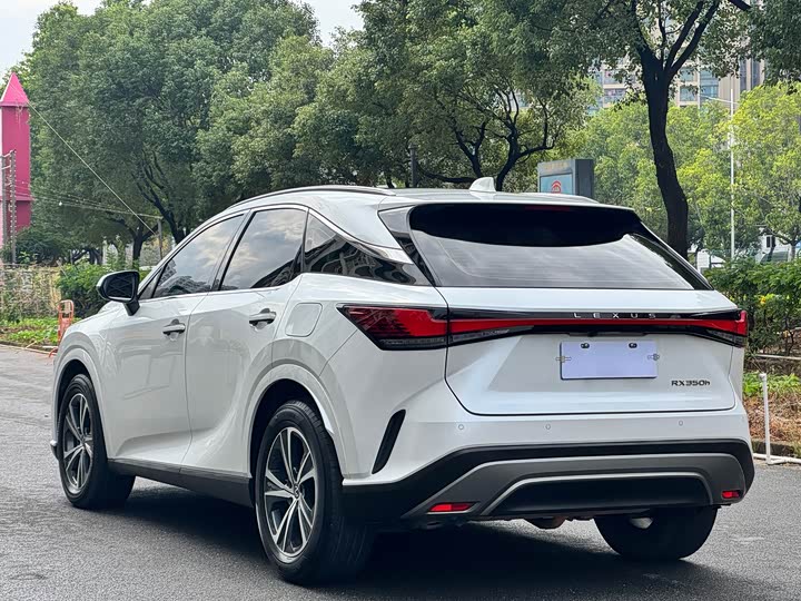 Фото 10 - Lexus RX