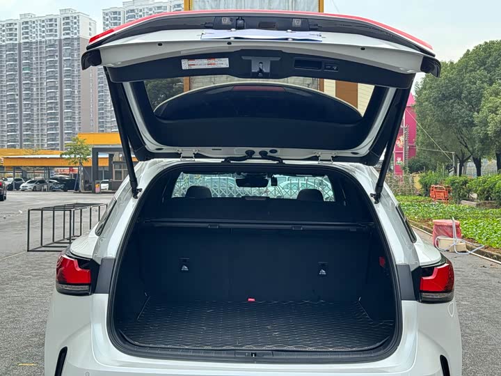 Фото 12 - Lexus RX