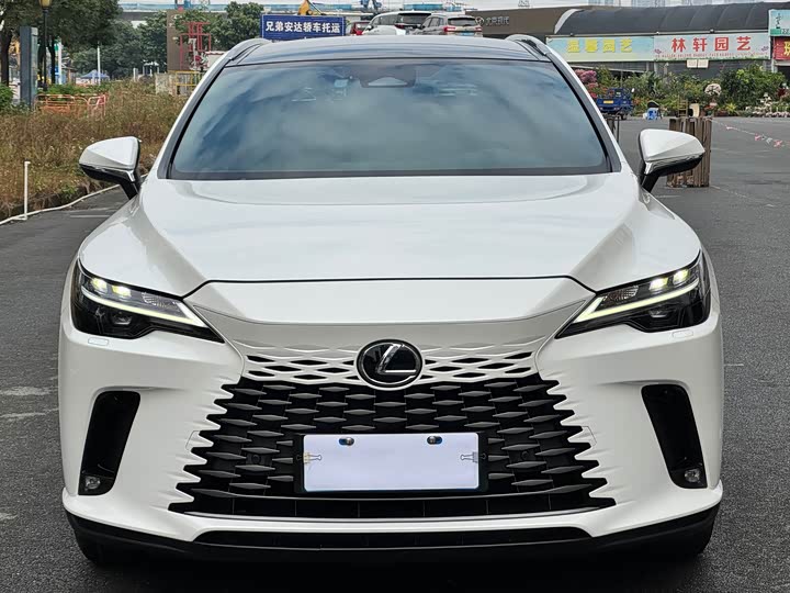 Фото 2 - Lexus RX