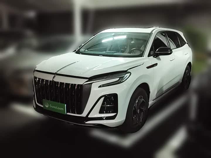 Фото 2 - Hongqi HS3