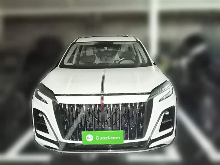 Фото 3 - Hongqi HS3