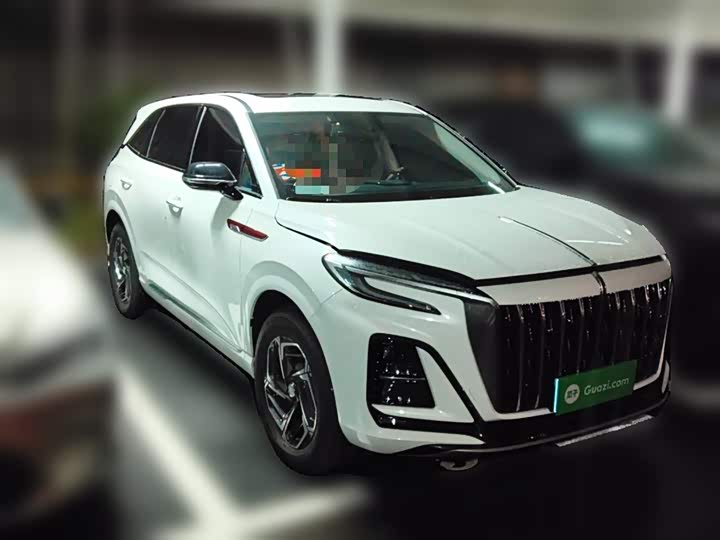 Фото 4 - Hongqi HS3