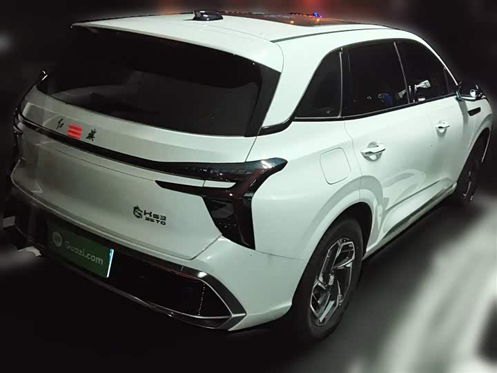 Фото 7 - Hongqi HS3