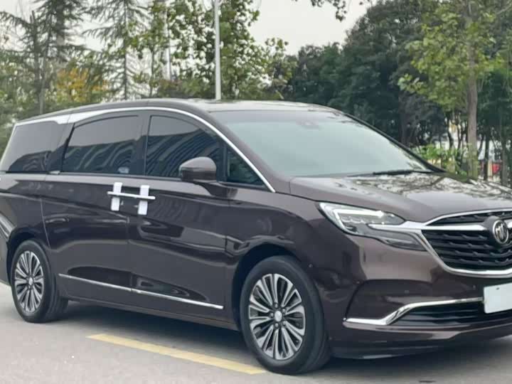 Фото 3 - Buick GL8 ES