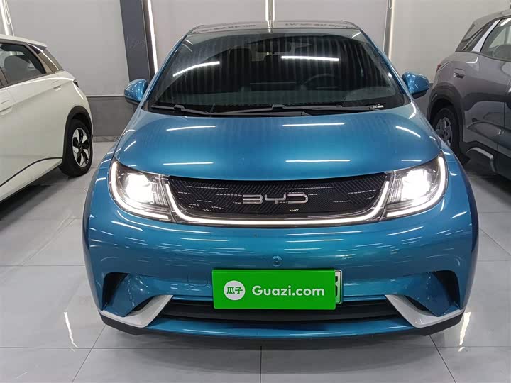 Фото 3 - BYD Dolphin