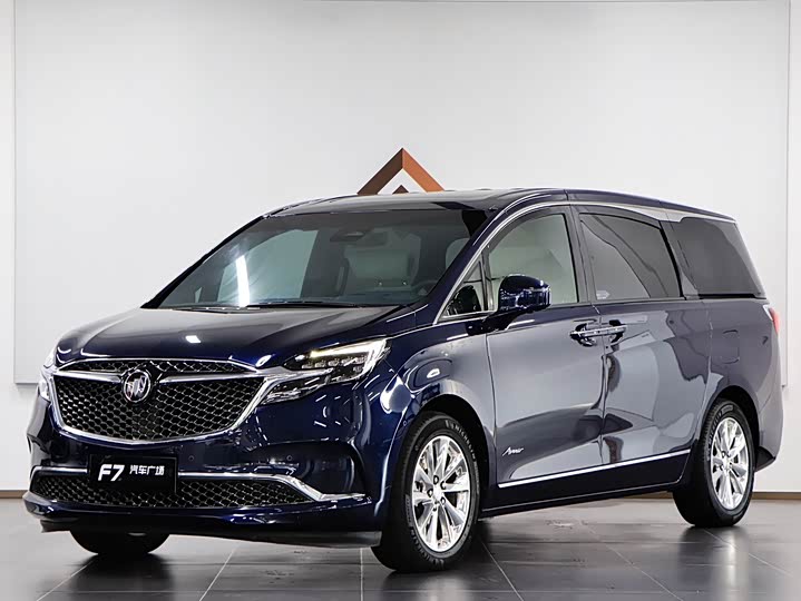 Фото 1 - Buick GL8 ES