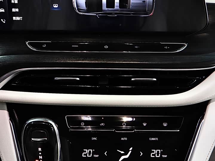 Фото 20 - Buick GL8 ES