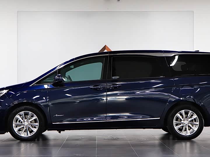 Фото 7 - Buick GL8 ES