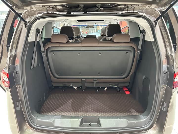 Фото 23 - Buick GL8 ES