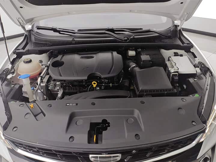 Фото 10 - Geely Binrui