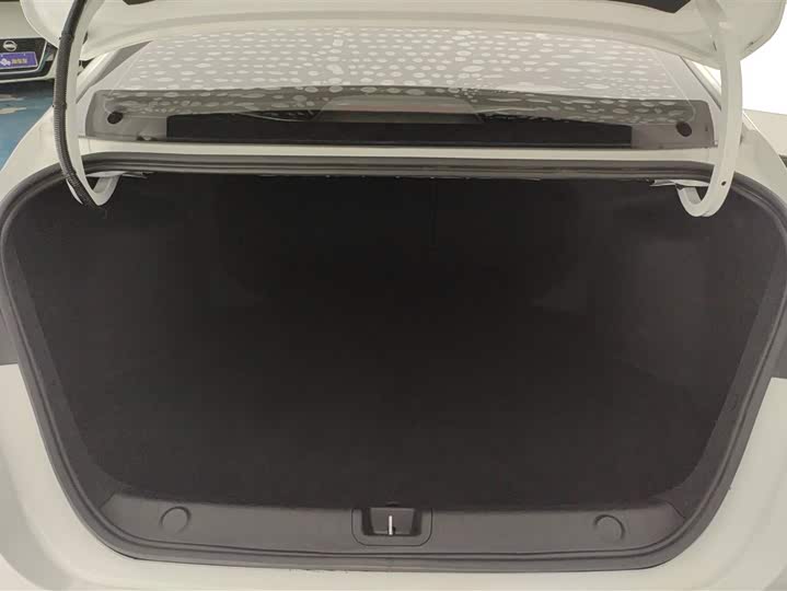 Фото 4 - Geely Binrui