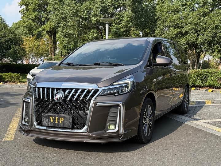 Фото 1 - Buick GL8 ES