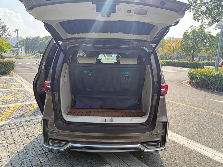 Фото 12 - Buick GL8 ES