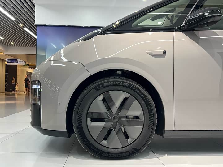 Фото 4 - LiXiang Mega