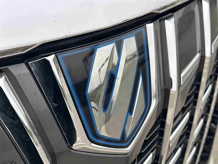 Фото 4 - Toyota Alphard