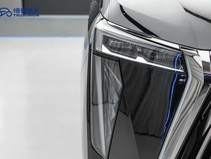 Фото 10 - GAC Trumpchi E9