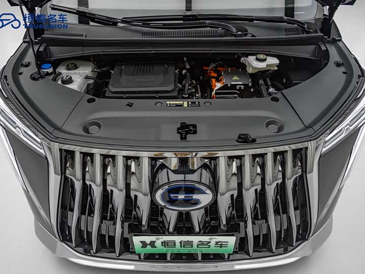 Фото 11 - GAC Trumpchi E9