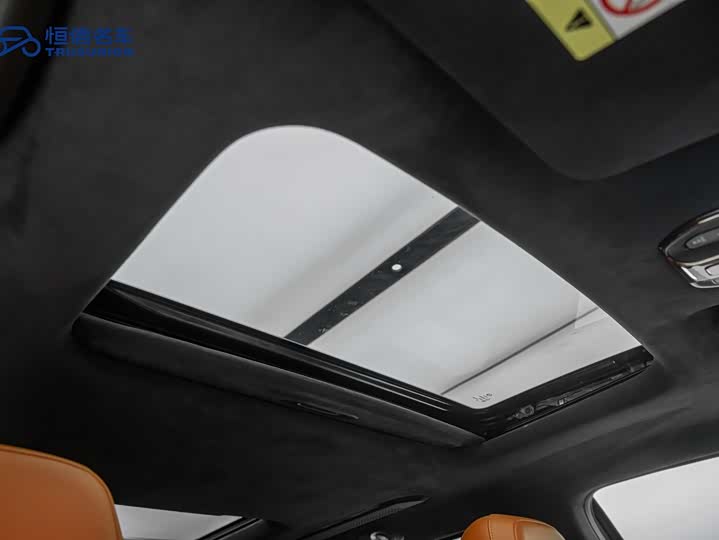 Фото 20 - GAC Trumpchi E9