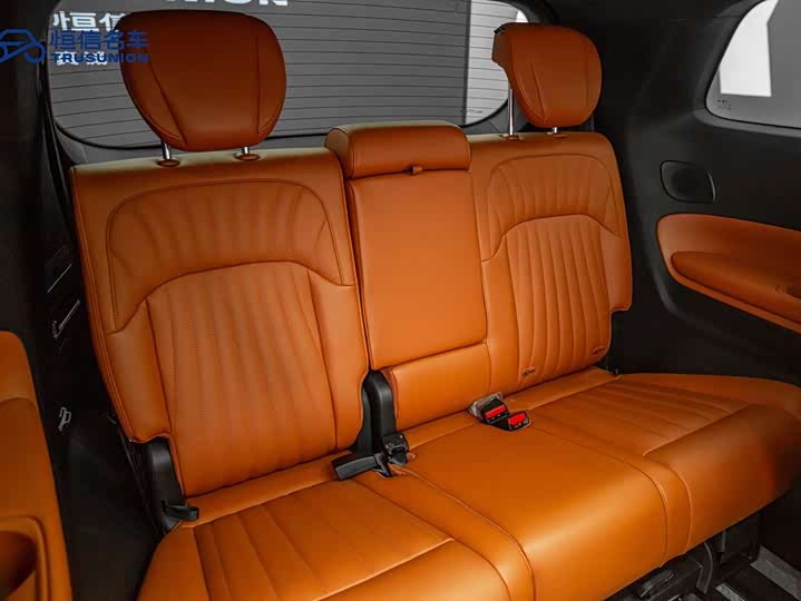 Фото 22 - GAC Trumpchi E9