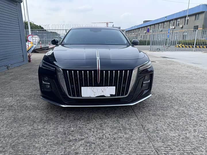 Фото 2 - Hongqi H5