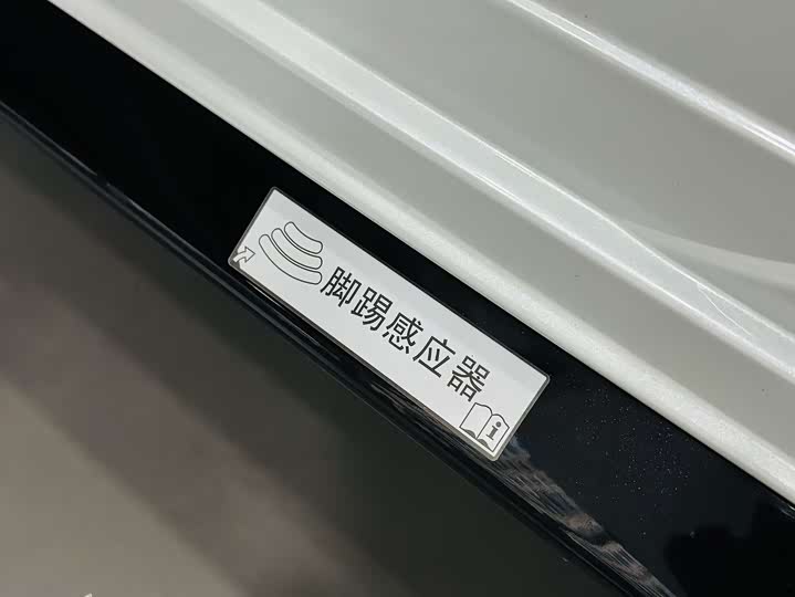 Фото 14 - Toyota Sienna