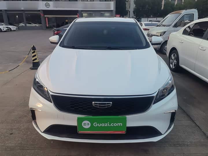 Фото 3 - Geely Binrui