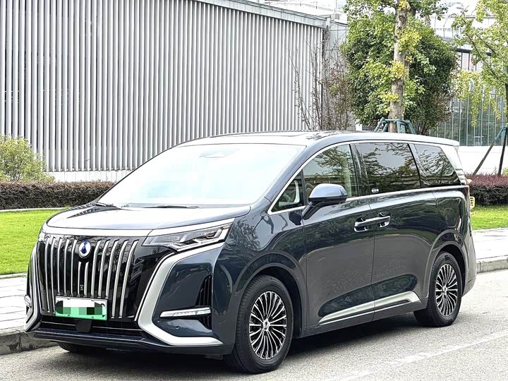 Фото 1 - Denza D9