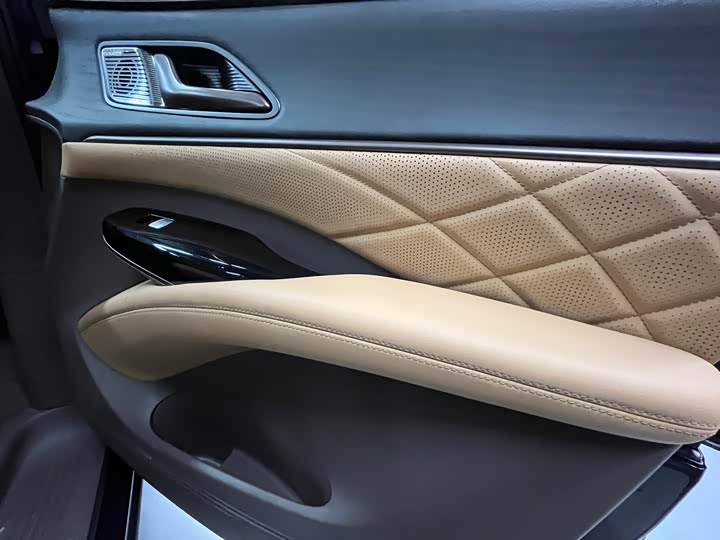 Фото 13 - Denza D9