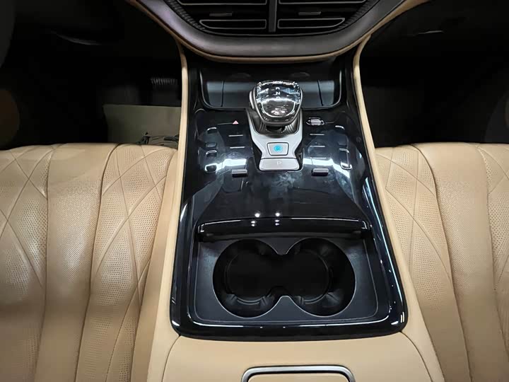 Фото 15 - Denza D9