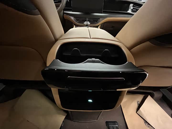 Фото 16 - Denza D9