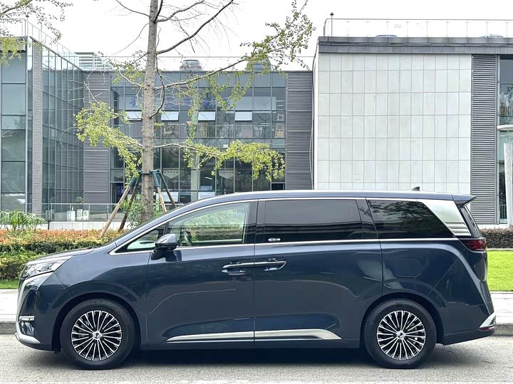 Фото 2 - Denza D9