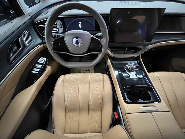 Фото 5 - Denza D9