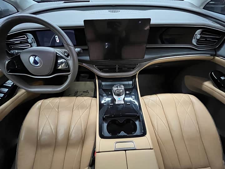 Фото 6 - Denza D9