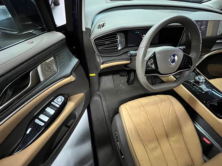 Фото 8 - Denza D9