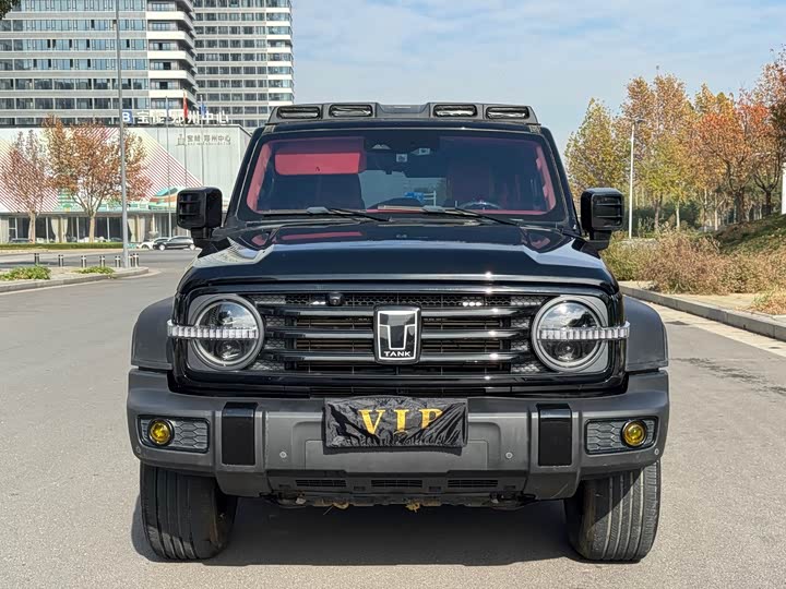 Фото 2 - Tank 300