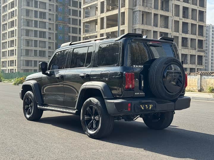 Фото 5 - Tank 300