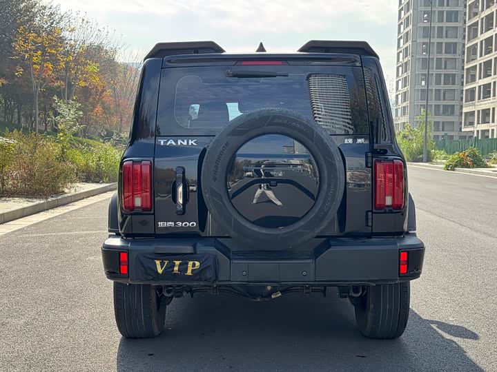 Фото 6 - Tank 300