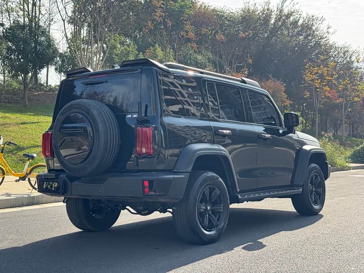 Фото 7 - Tank 300