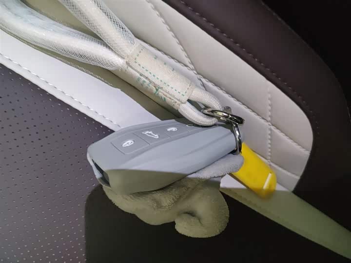 Фото 9 - Geely Monjaro