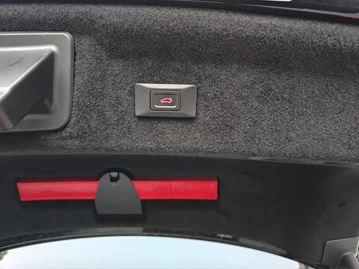 Фото 13 - Hongqi H9