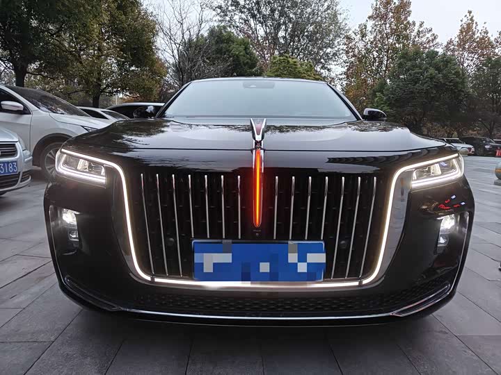 Фото 2 - Hongqi H9
