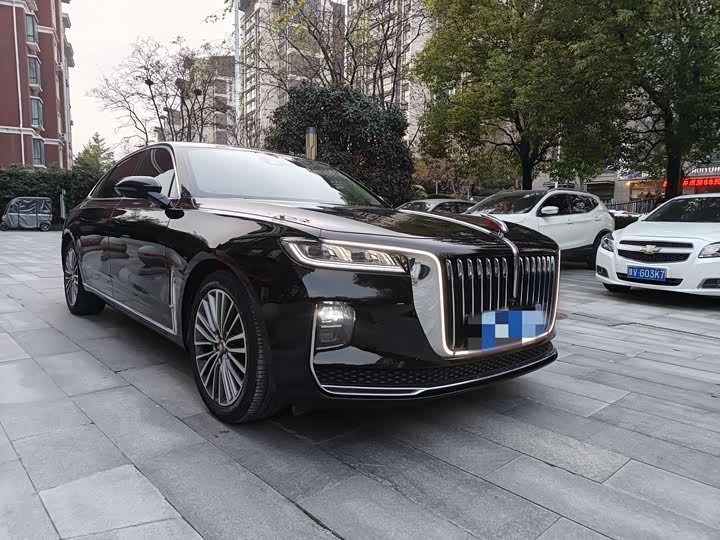 Фото 3 - Hongqi H9