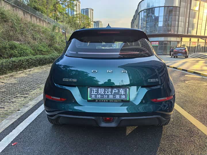 Фото 17 - Ora Good Cat (03)