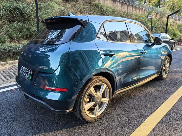 Фото 18 - Ora Good Cat (03)